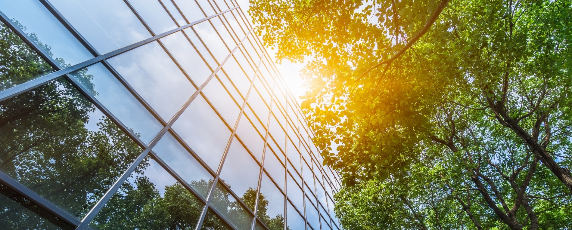 Pioneering sustainability solutions