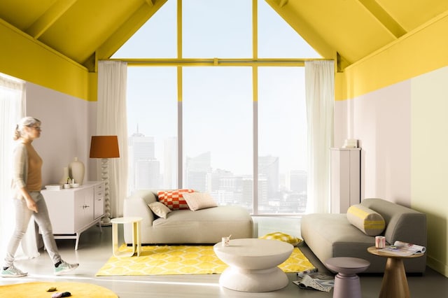 Bold color story pallate living room inspiration