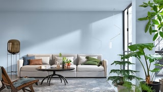 Color of the Year 2022
