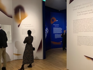 Don de produits peintures du réseau Sikkens Solutions au Musée de l’Homme à Paris