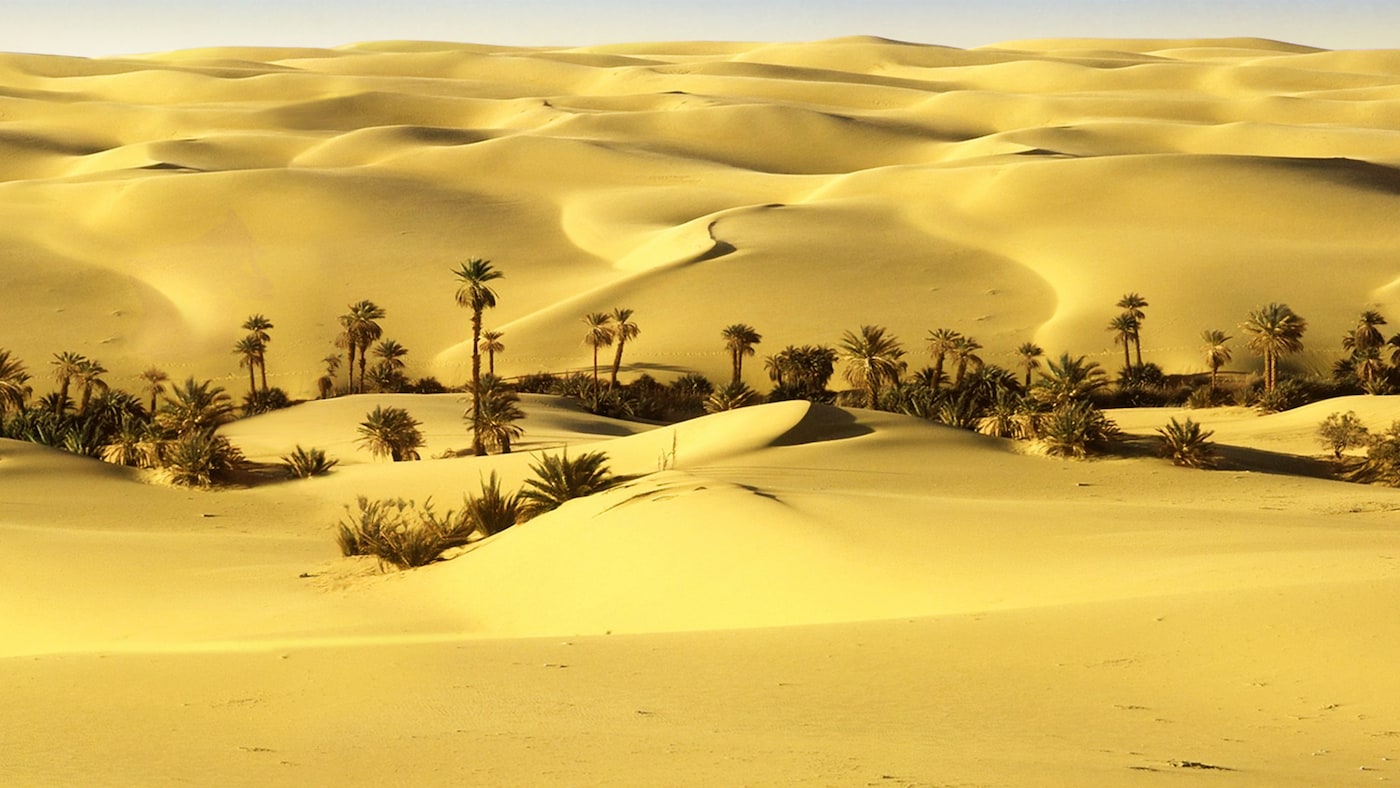 Sahara