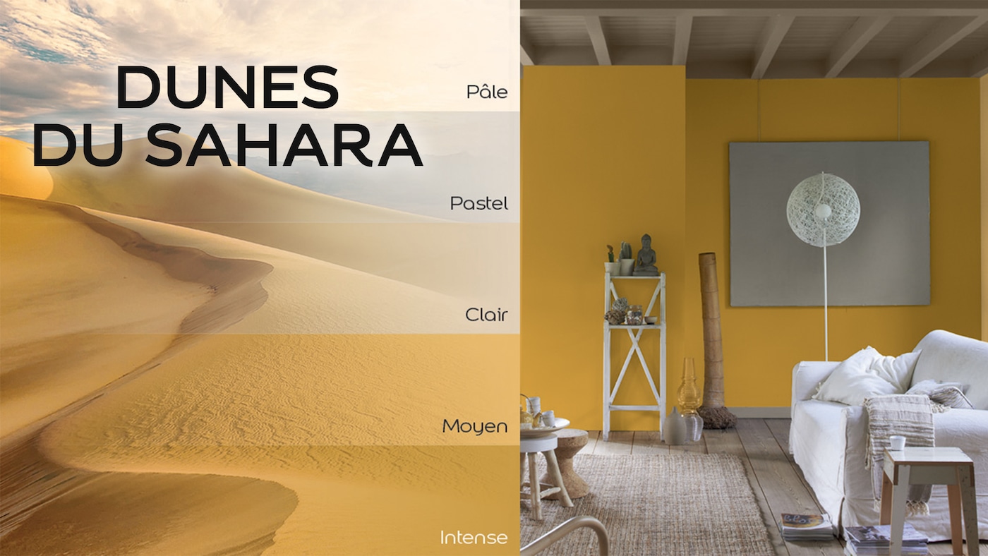Couleurs du monde - dunes du sahara