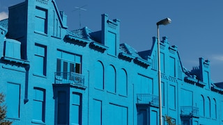 Couleur préférée