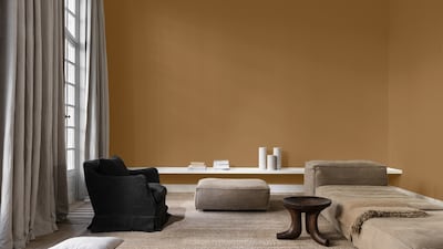 SALON PEINTURE OCRE PALAMINO