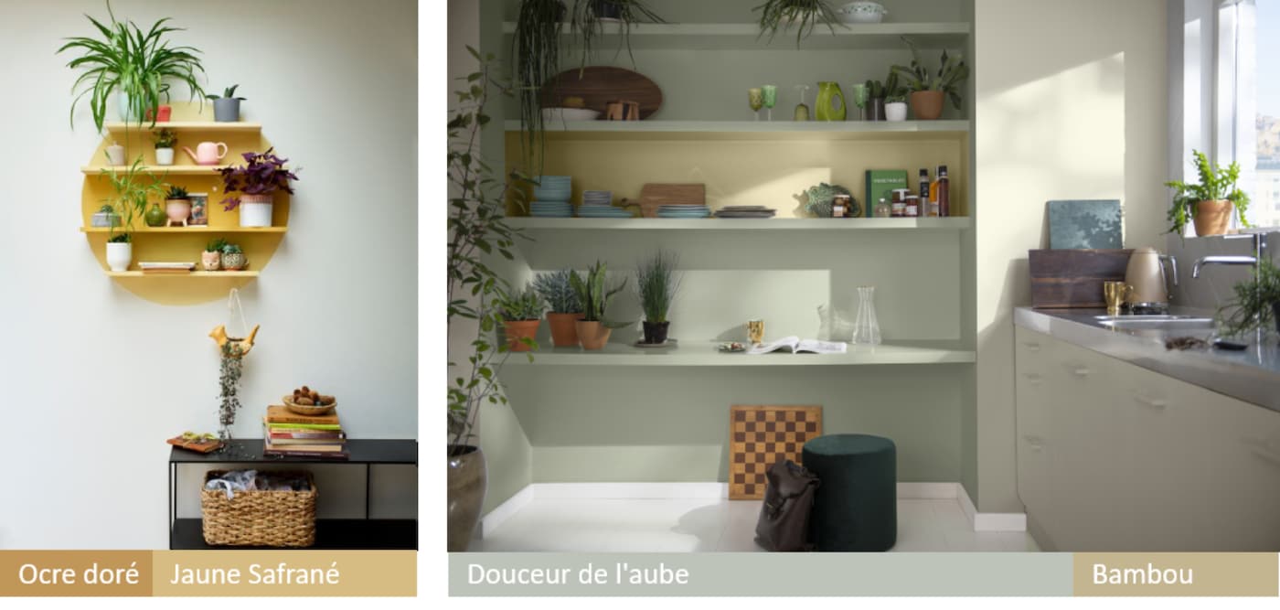 Les plantes ont l'avantage de créer un espace relaxant tout en apportant la ponctuelle de couleur qui donne de la vie à votre décoration,
