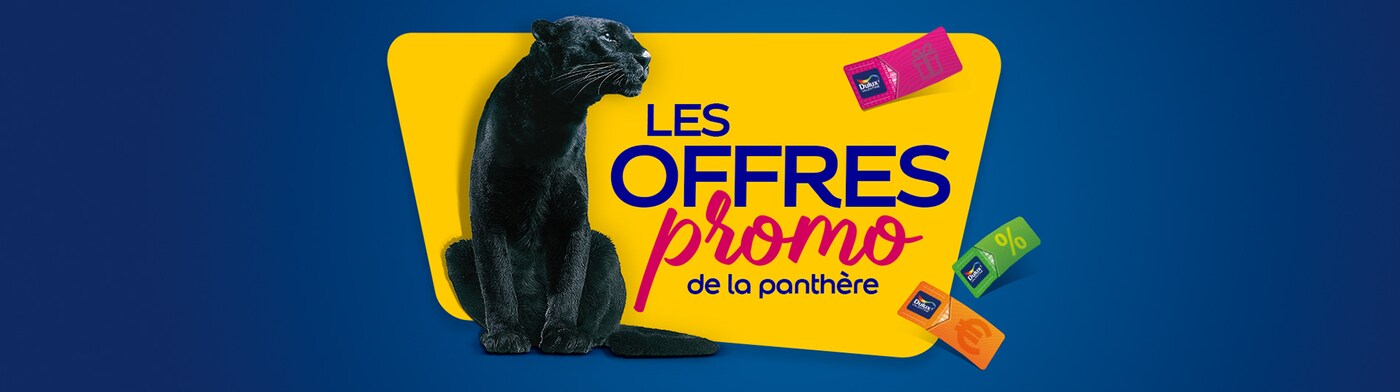 Les promotions de Dulux Valentine
