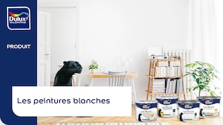 Les peintures blanches de Dulux Valentine