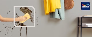 Image alt text