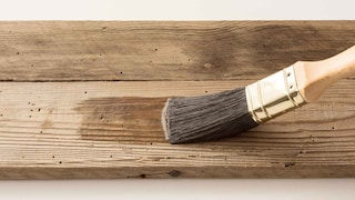 Szkodniki w drewnie – jak się ich pozbyć?