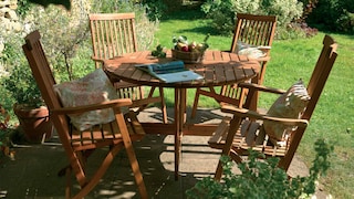 Podstawy ochrony drewna: tek 