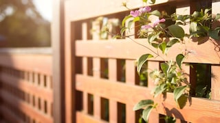 Malowanie płotu drewnianego od a do z