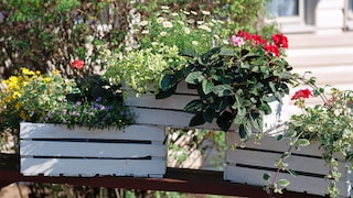 Jak zrobić kwietnik drewniany do ogrodu?
