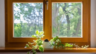 Renowacja I konserwacja okien drewnianych - poradnik