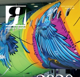 Reflections 2020 - Ending the year with a dash of color