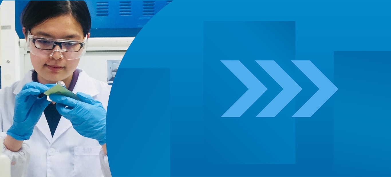 Navegando no Cenário do PVDF