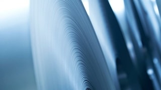 Blog: Different paths, shared progress