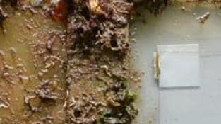 AkzoNobel develops fouling prevention solution