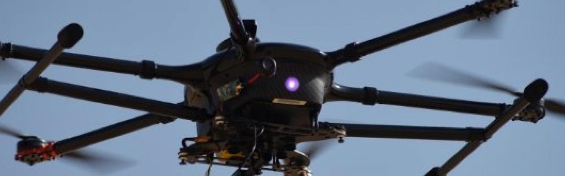 AkzoNobel awarded Plimsoll Award