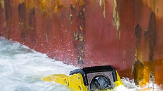 Hull cleaning which safeguards sustainability