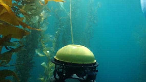 Underwater ROV inspections
