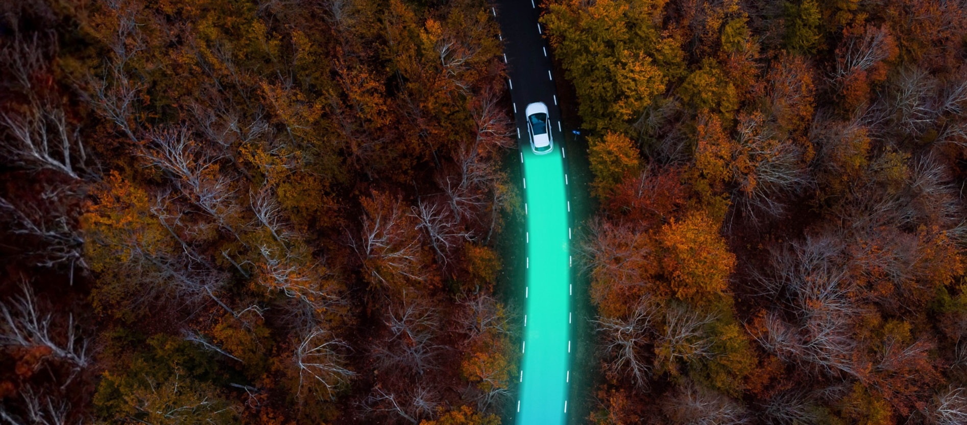 Aerial view of a car driving along a road through an autumn forest with a glowing blue trail.