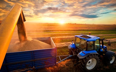 Gold tractor coating