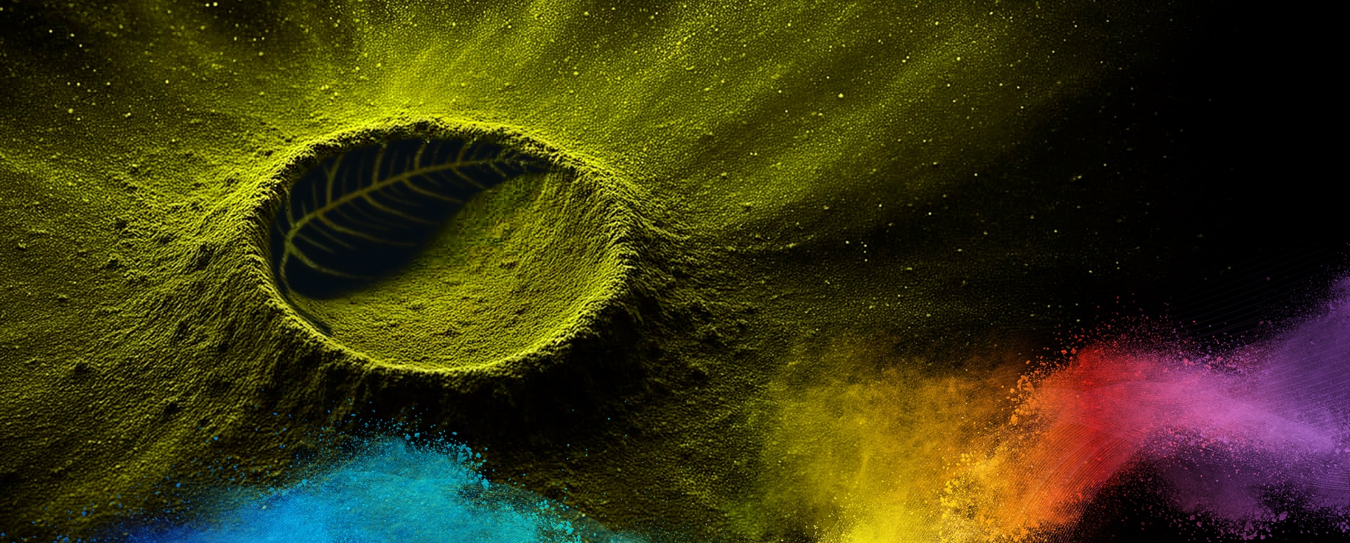 Green powder surface with a leaf imprint symbolizing value-driven sustainability