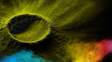 Green powder surface with a leaf imprint symbolizing value-driven sustainability