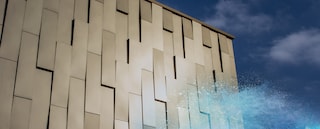 Interpon D Anodic Collection 