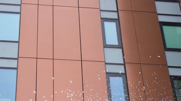 Bold Adventure palette