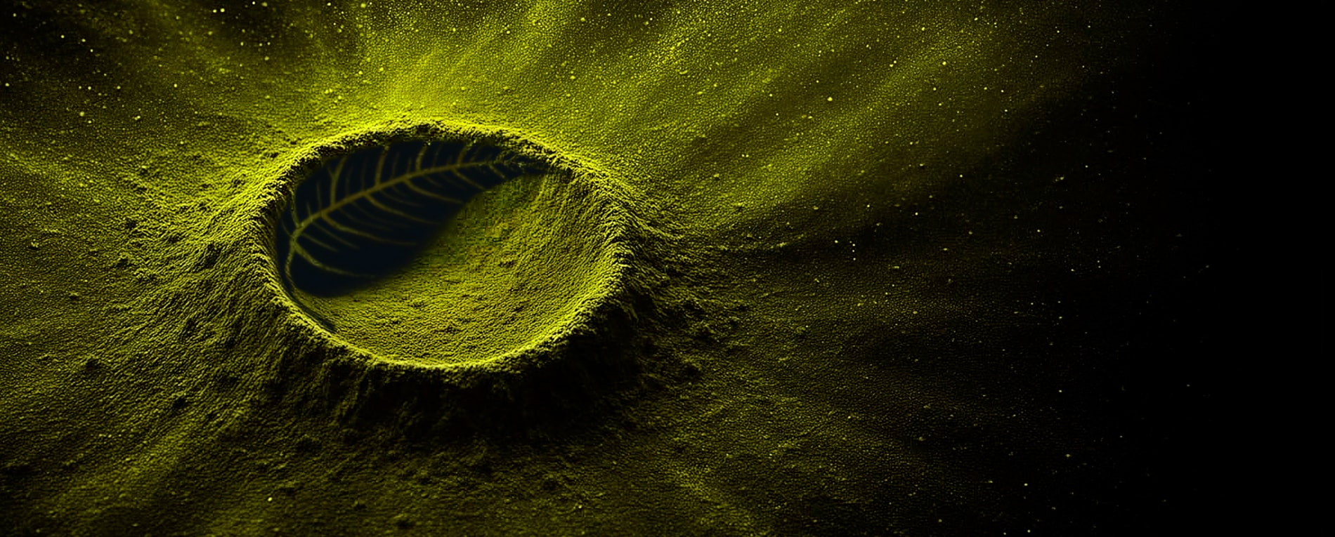 Green powder surface with a leaf imprint symbolizing value-driven sustainability