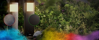 Partenariat Signify/Interpon