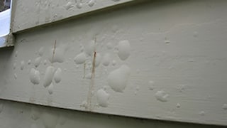 Blistering or Bubbling