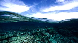 Can topside paints be applied to below water surfaces