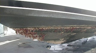 Why should I use antifouling?