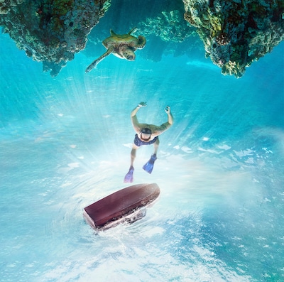 En dykare med simfötter simmar från ett slätt båtskrov under ytan, medan en havssköldpadda glider fram ovanför ett korallrev i klart blått vatten.