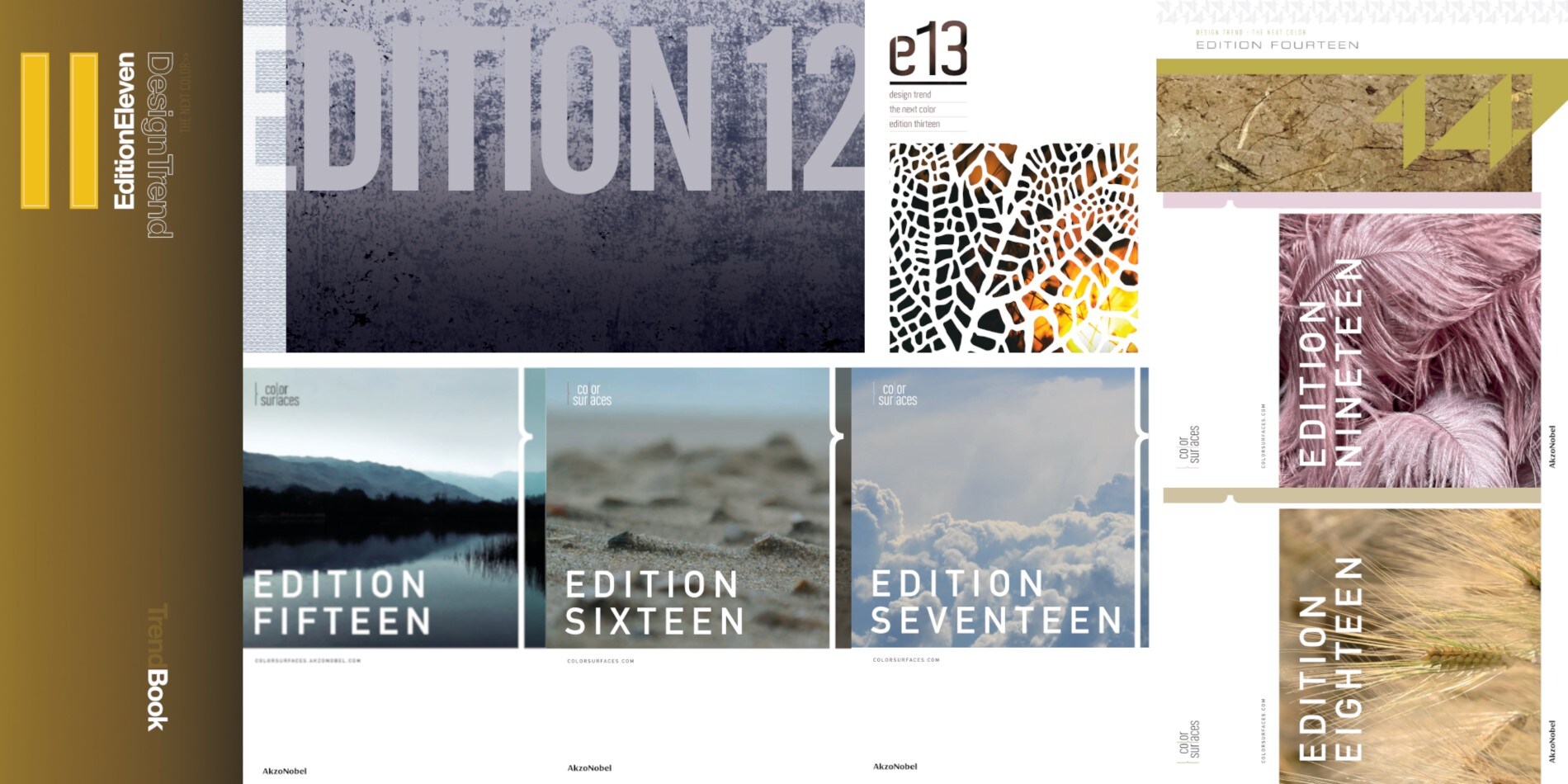 AkzoNobel’s Color of the Year 2025 reveal is almost here