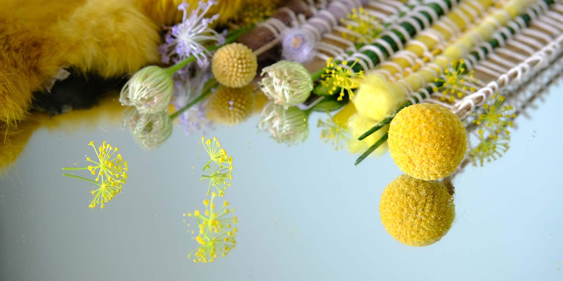 AkzoNobel’s Color of the Year 2025 reveal True Joy