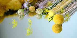 True Joy unveiled as Color of the Year 2025