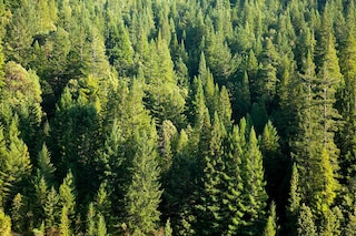 AkzoNobel sätter nya mål för att minska koldioxidutsläppen och bidra till att minska effekten av klimatförändringarna