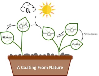 AkzoNobel unlocks more sustainable future for coatings after biomass breakthrough