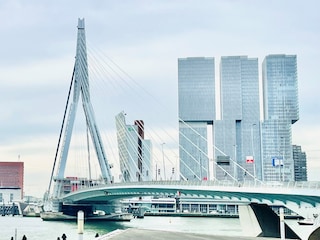 AkzoNobel Sikkens verf brengt iconische Erasmusbrug weer terug naar blauw