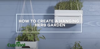A Hanging Herb Garden