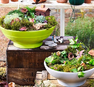How to create a Fairy Garden