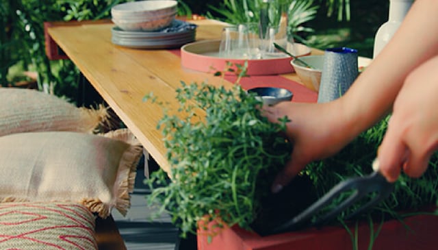 Add plants, herbs or flowers