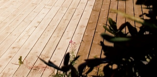 SÅ HÄR BEHANDLAR DU DITT TRÄDÄCK