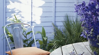 Usá colores para crear un oasis en el patio de tu casa