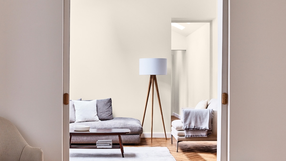 Paleta Bruguer Elegance pop moderno