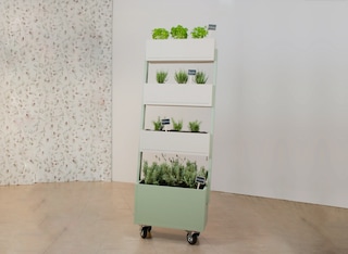 Creamos un huerto vertical