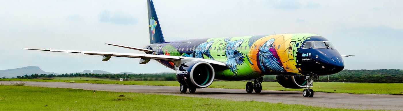 Ararinhas Avião Tintas Coral